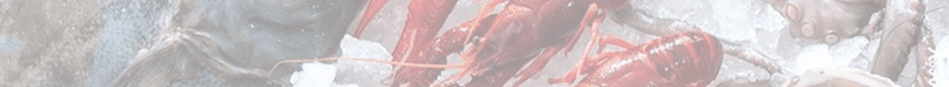 Seafood Footer Bottom Background