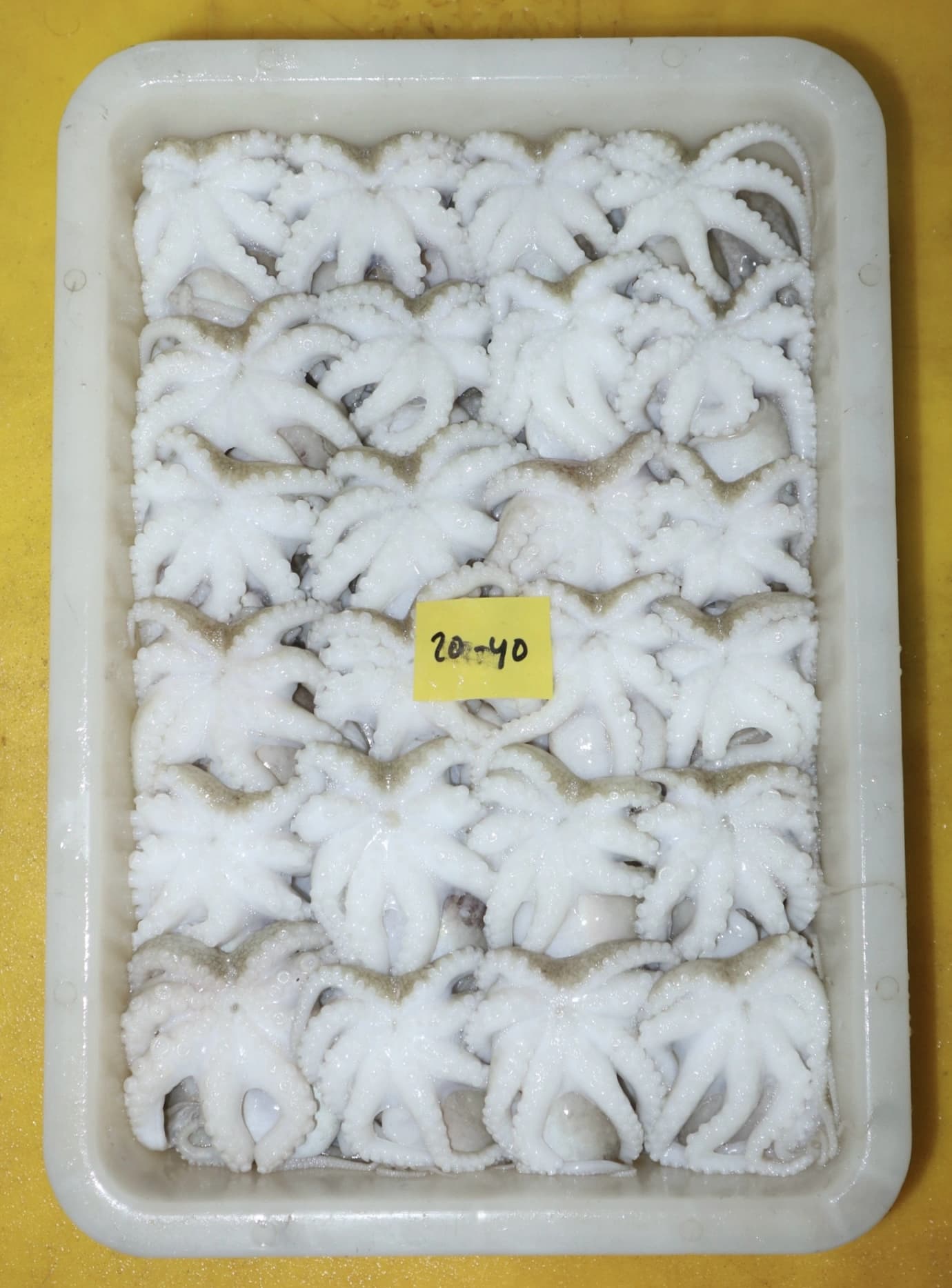 Gallery image 14