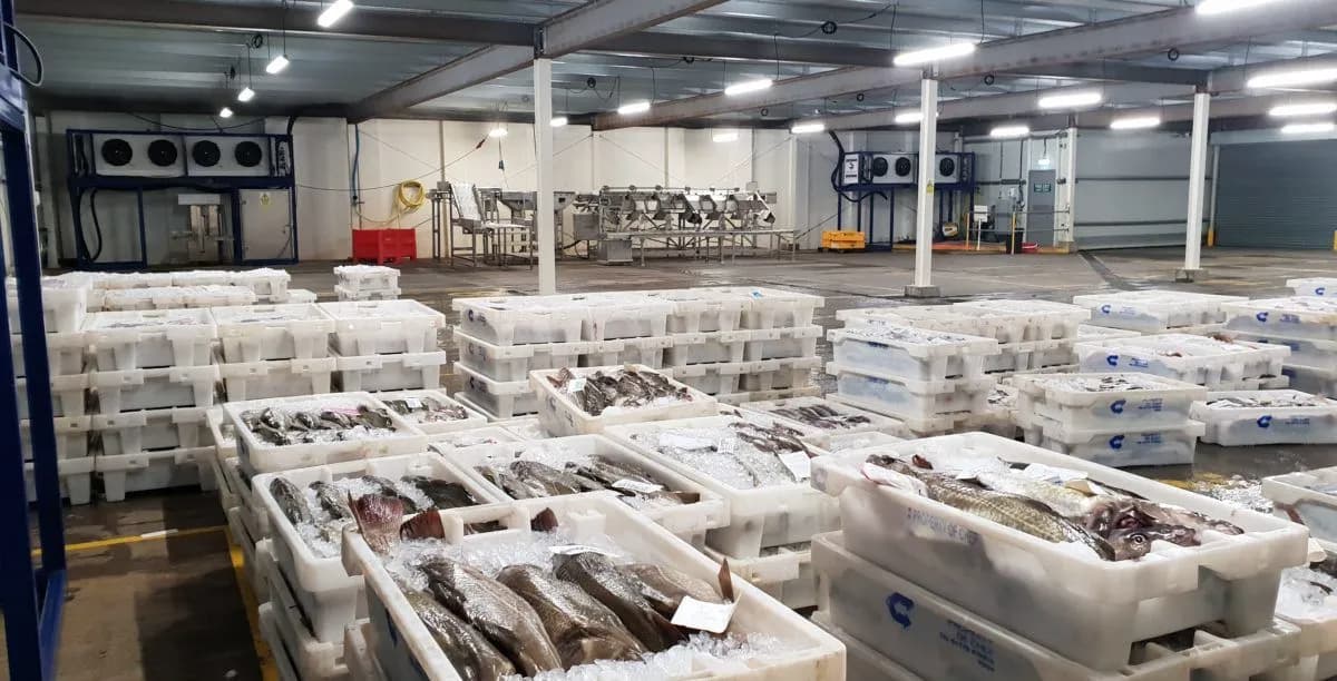 Cold Chain and Storage