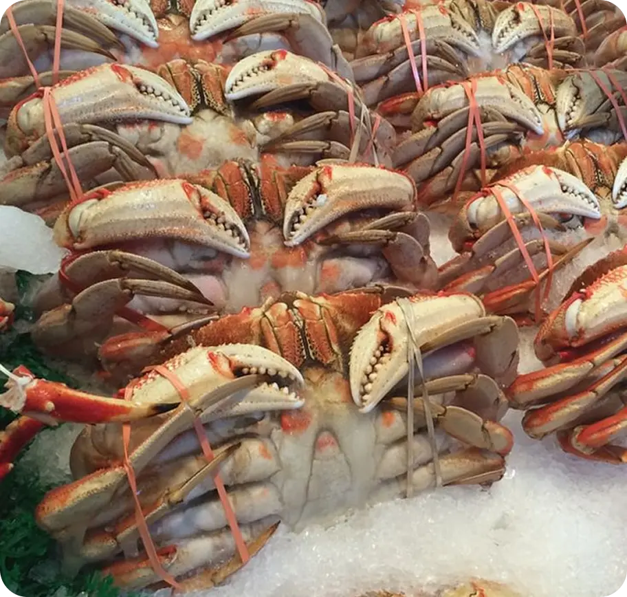 CRABS