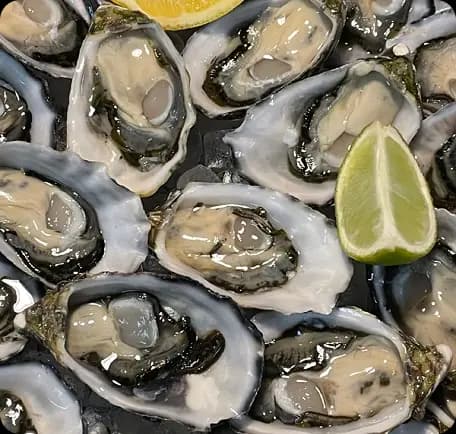 SHELLFISH